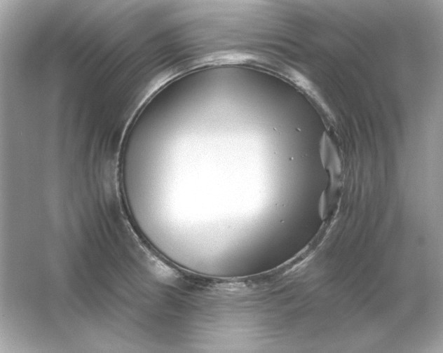 X0000066021186200603171524