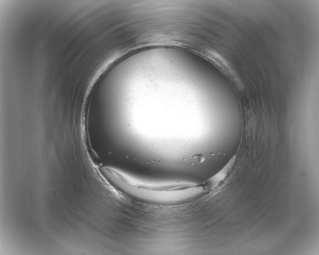 X0000066021188200603171524