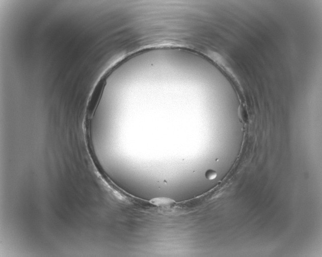 X0000066021189200603171524