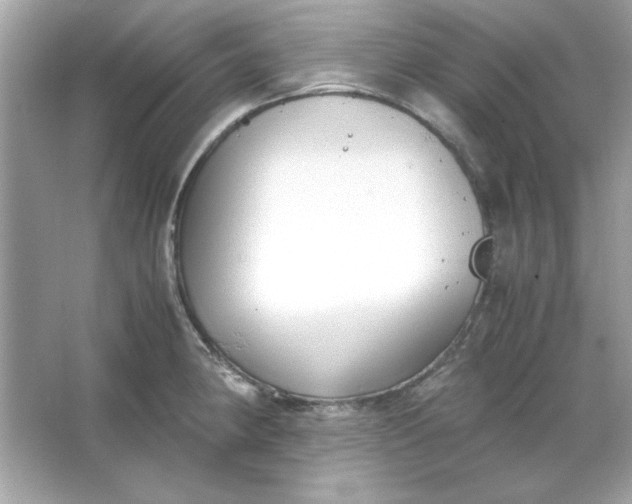 X0000066021190200603171524