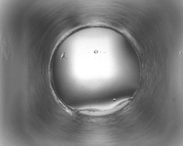 X0000066021191200603171524