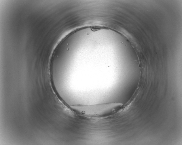 X0000066021192200603171524