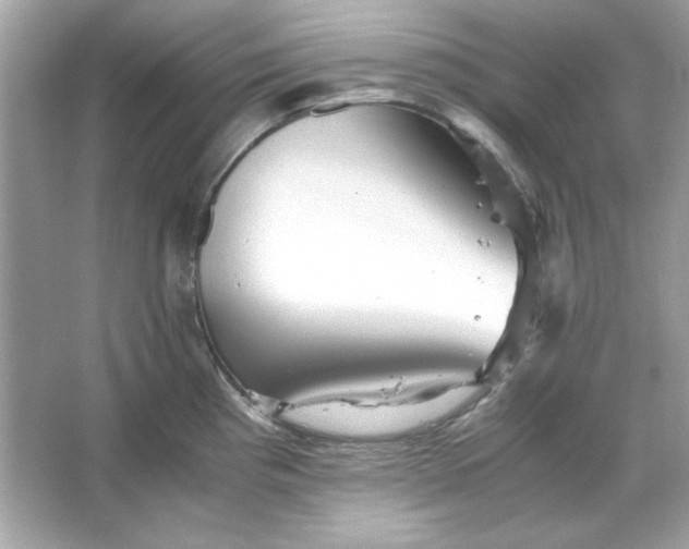 X0000066021193200603171524