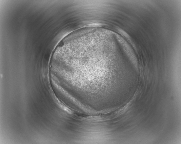 X0000066021194200603171524