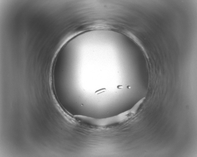 X0000066021195200603171524