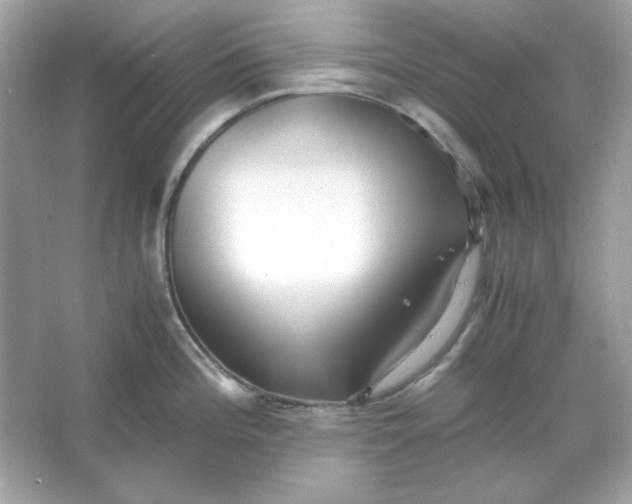 X0000066021196200603171524