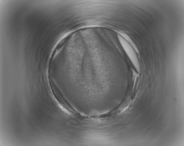 X0000066021197200603171524