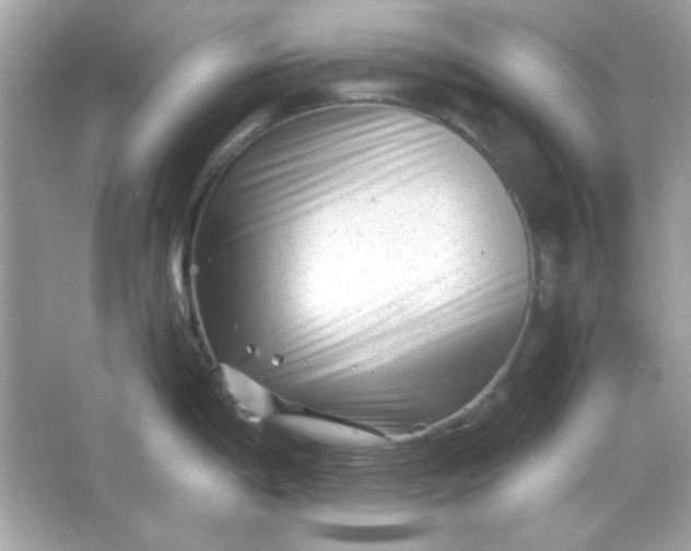 X0000066021198200603171524