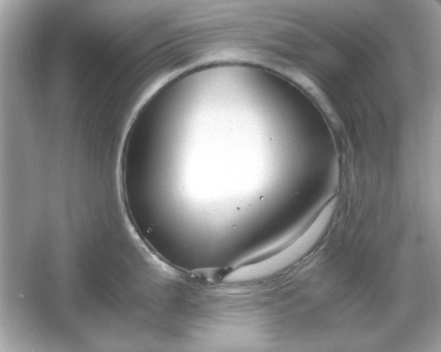 X0000066021199200603171524