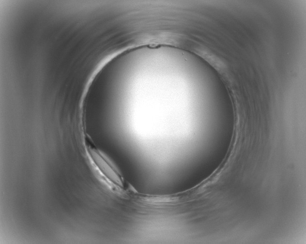 X0000066021200200603171524