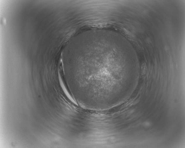 X0000066021202200603171523