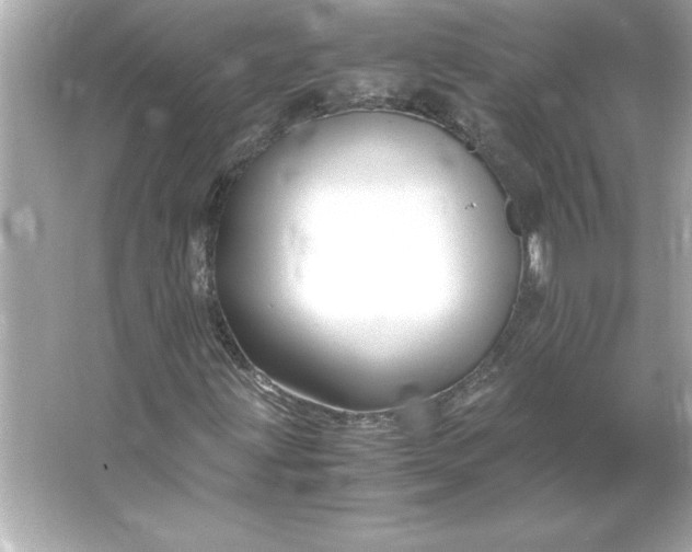 X0000066021203200603171523