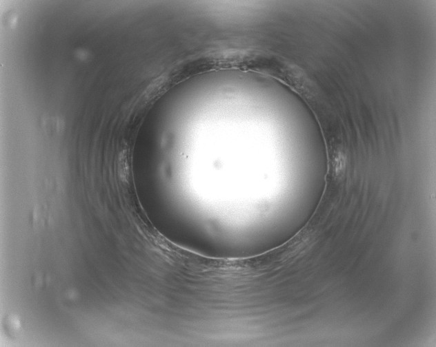 X0000066021204200603171523