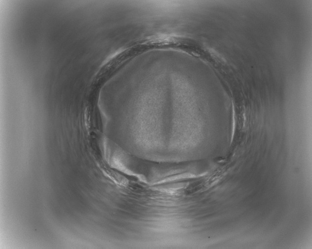 X0000066021206200603171523