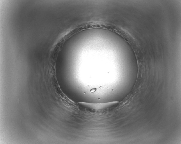 X0000066021207200603171523