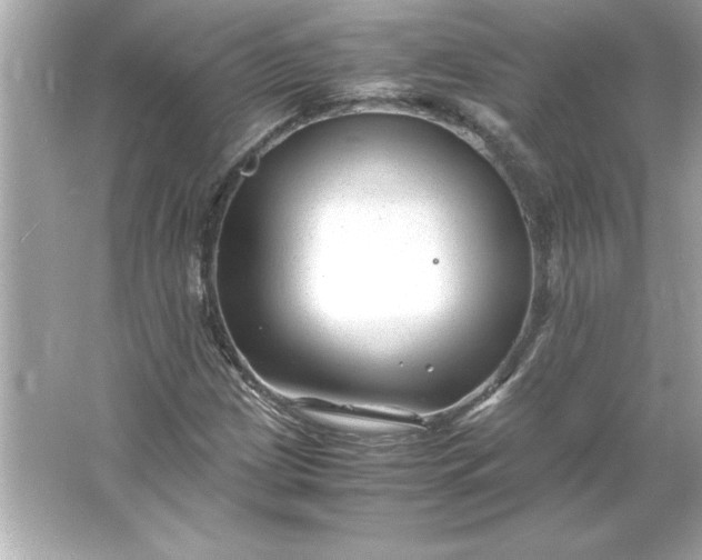 X0000066021209200603171523