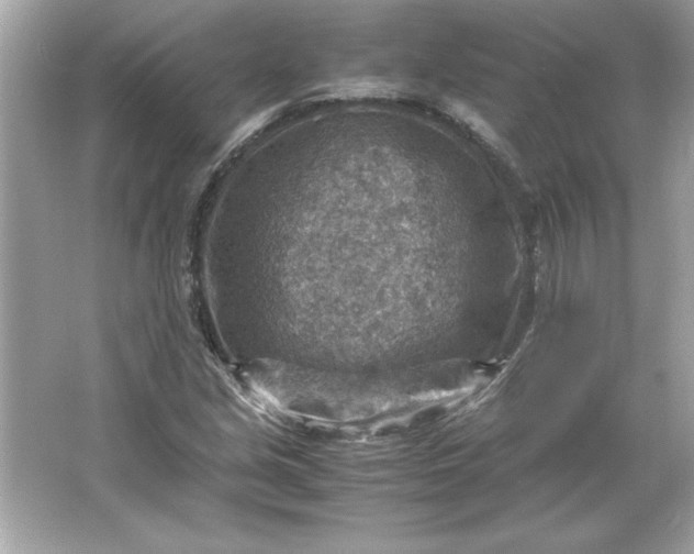 X0000066021213200603171523