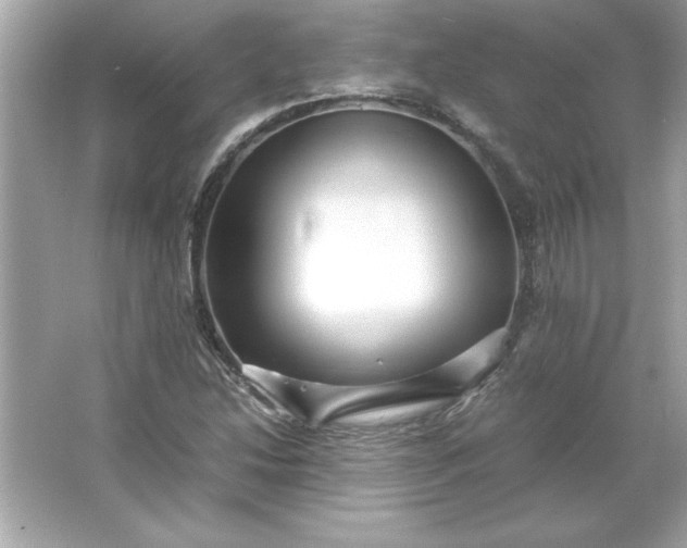 X0000066021214200603171523