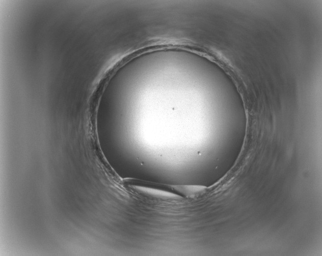 X0000066021215200603171523