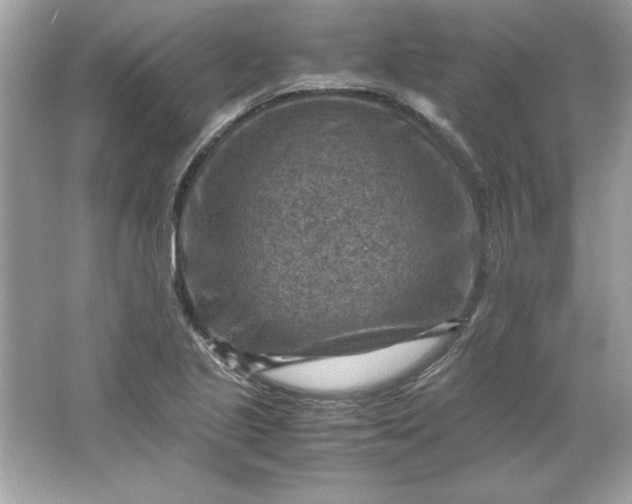 X0000066021221200603171523