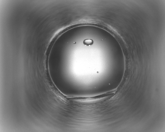 X0000066021222200603171523