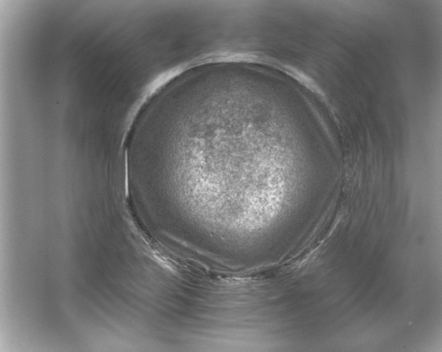 X0000066021223200603171523