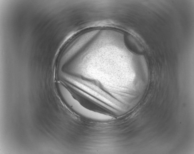 X0000066021224200603171523