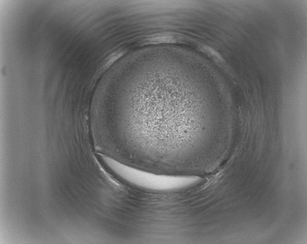 X0000066021225200603171523