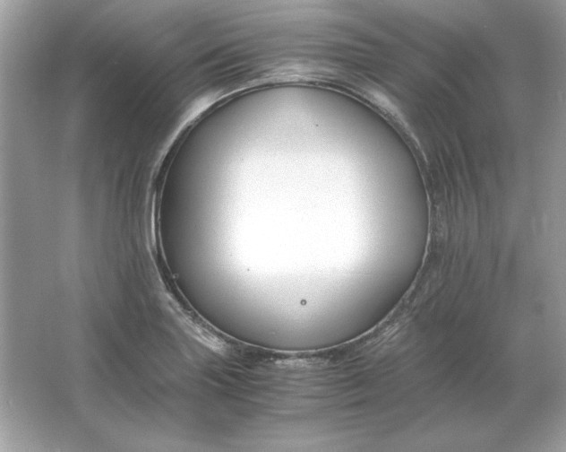 X0000066021227200603171523