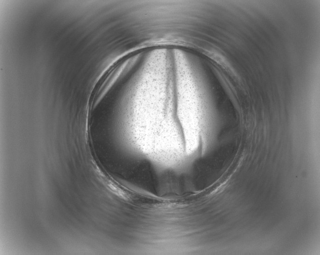 X0000066021228200603171523