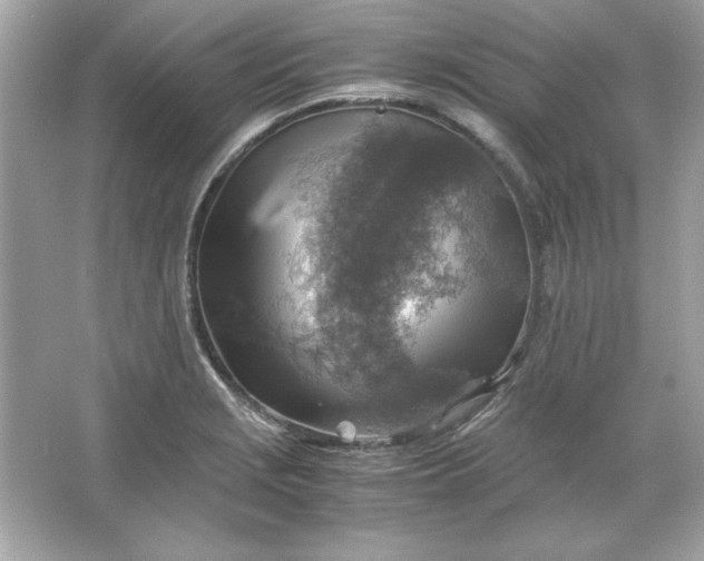 X0000066021229200603171523