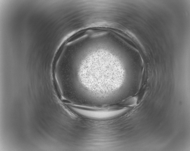 X0000066021230200603171523