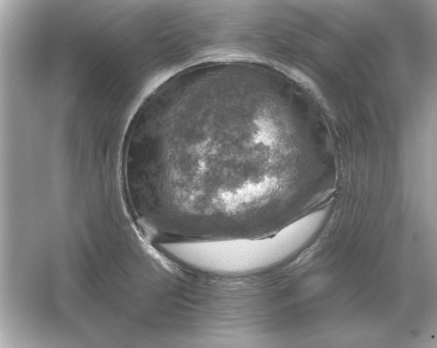 X0000066021231200603171523