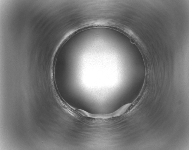 X0000066021232200603171523