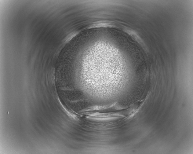 X0000066021233200603171523