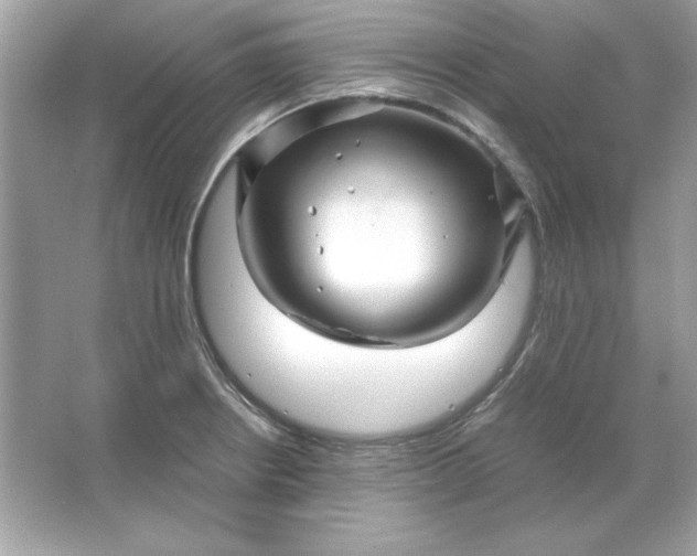 X0000066021234200603171523