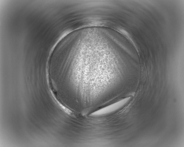 X0000066021235200603171523