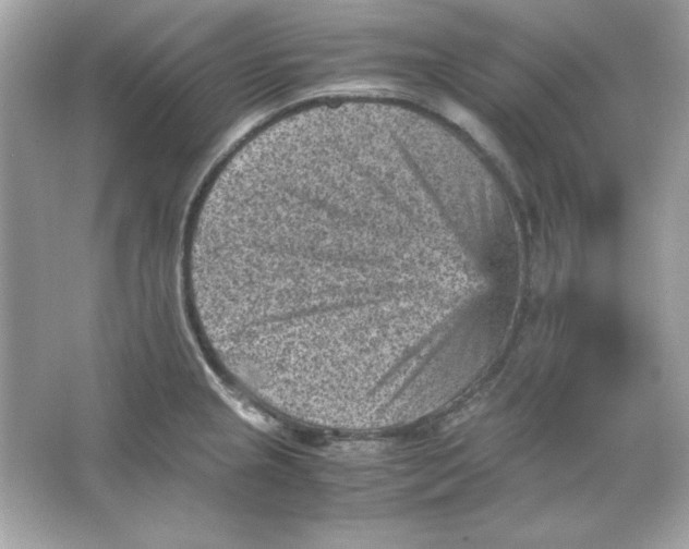 X0000066021237200603171523