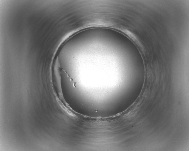 X0000066021238200603171523