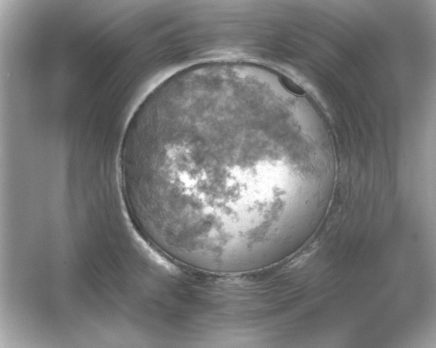 X0000066021239200603171523