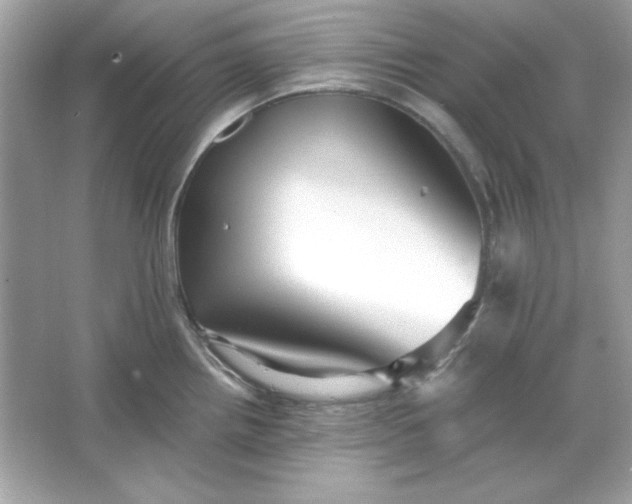 X0000066021242200603171523