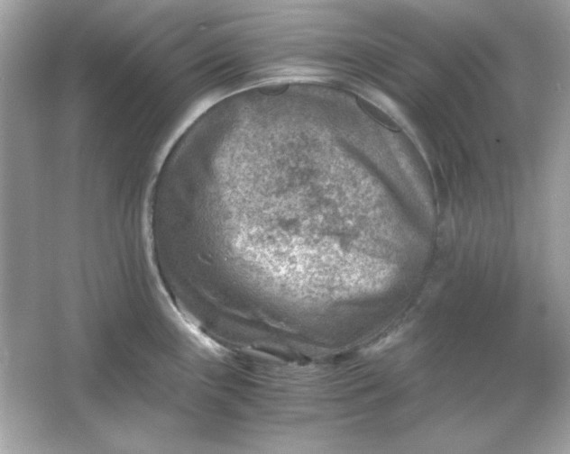 X0000066021243200603171523