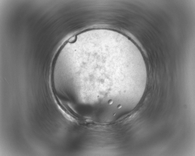 X0000066021245200603171523