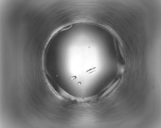 X0000066021246200603171523