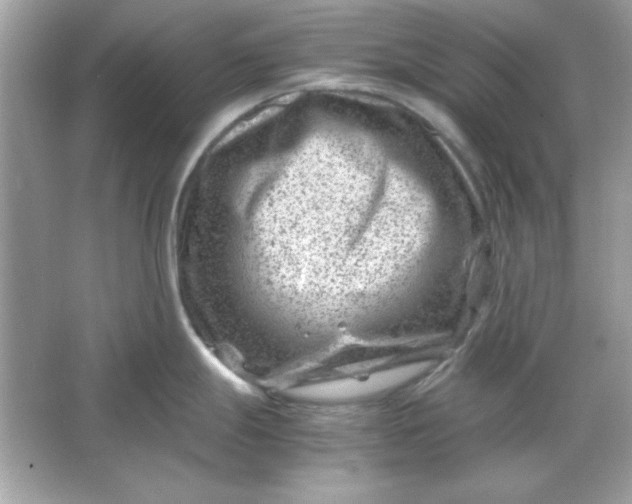 X0000066021247200603171523