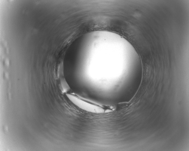 X0000066021250200603171523