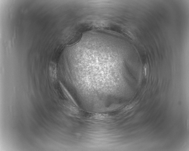 X0000066021251200603171523