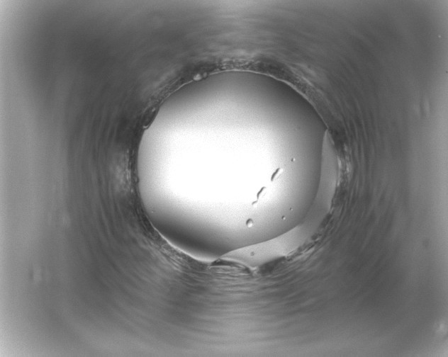 X0000066021252200603171523