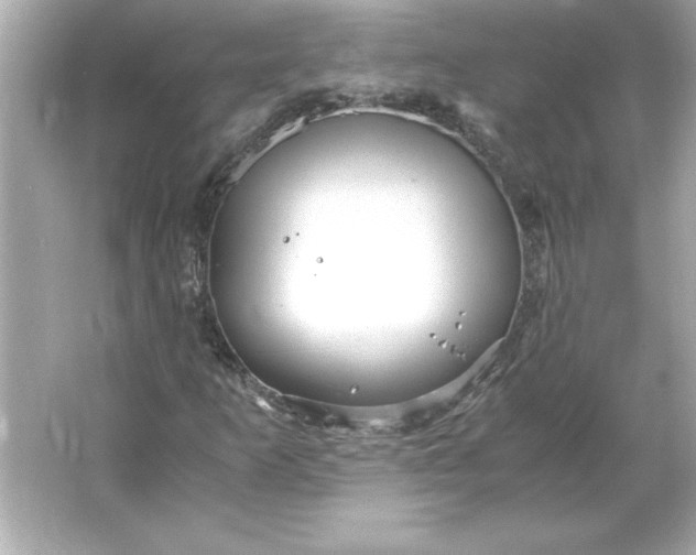 X0000066021253200603171523