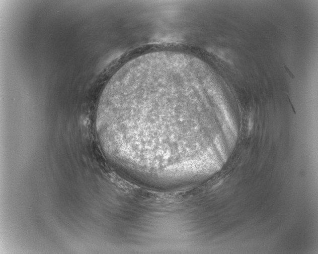 X0000066021254200603171523